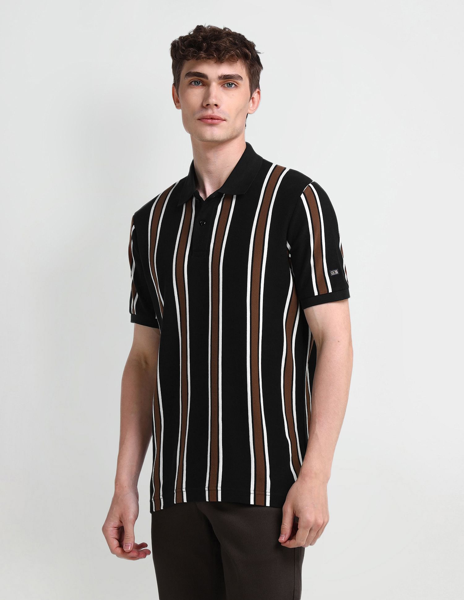 Arrow Sport Vertical Striped Regular Fit Polo Shirt
