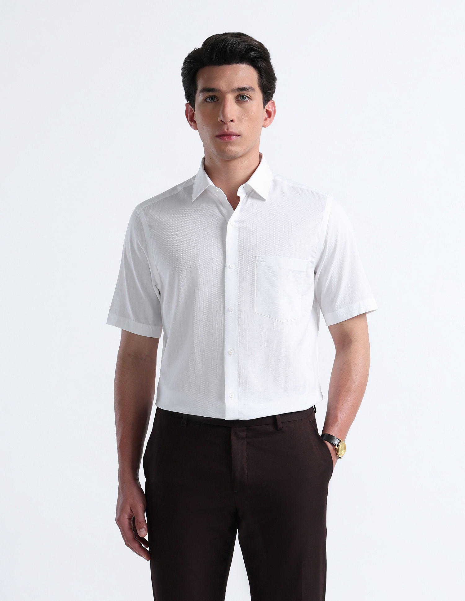 Arrow Liberty Classic Fit Iconics Shirt