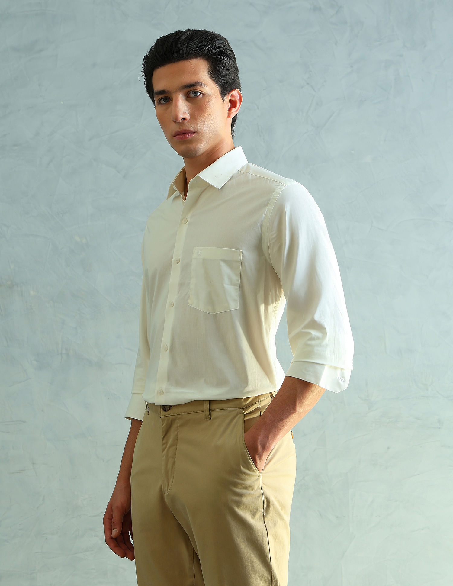 Arrow Slim Fit Smart Formal Shirt