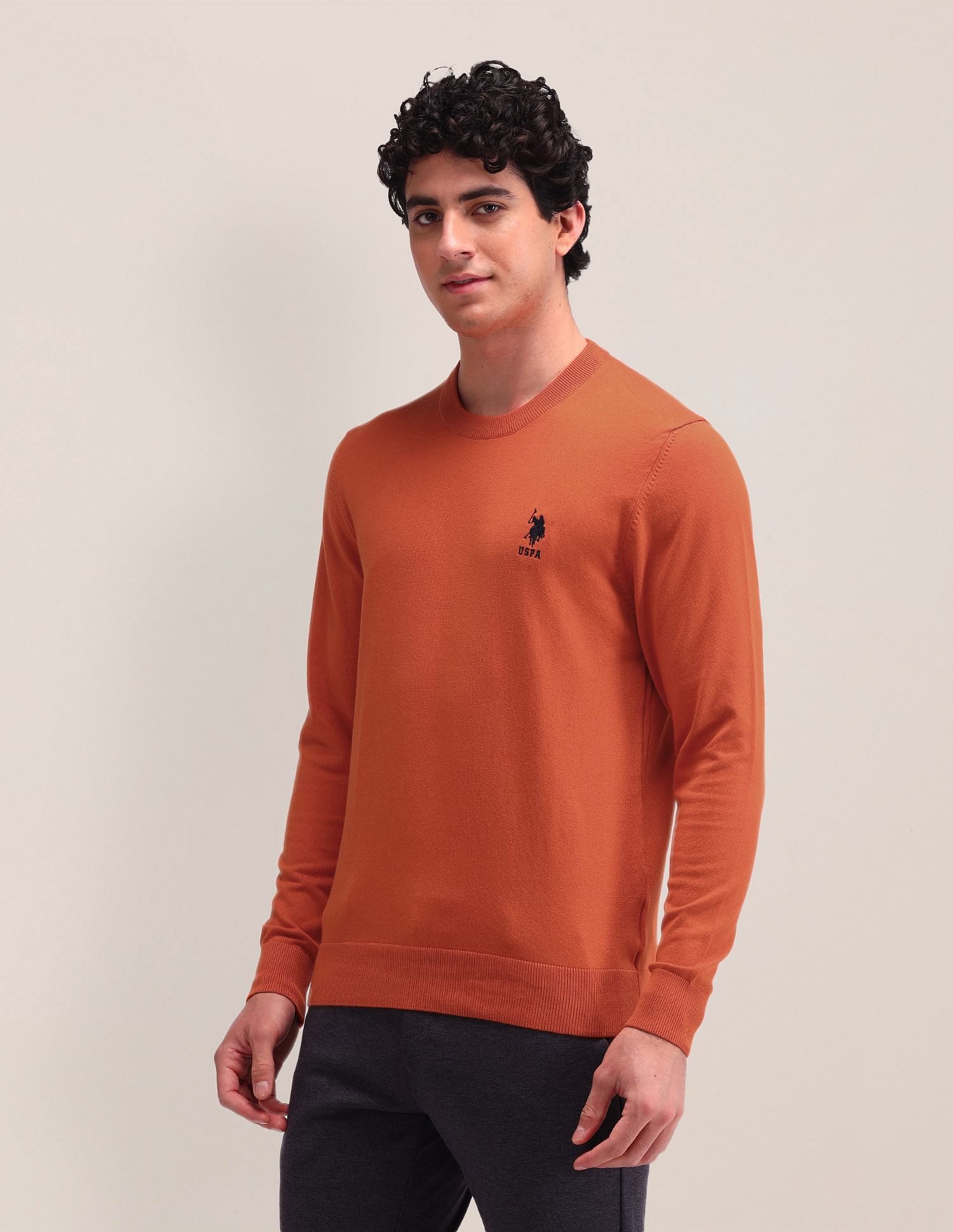 U.S. Polo Assn. Solid Regular Fit Sweater