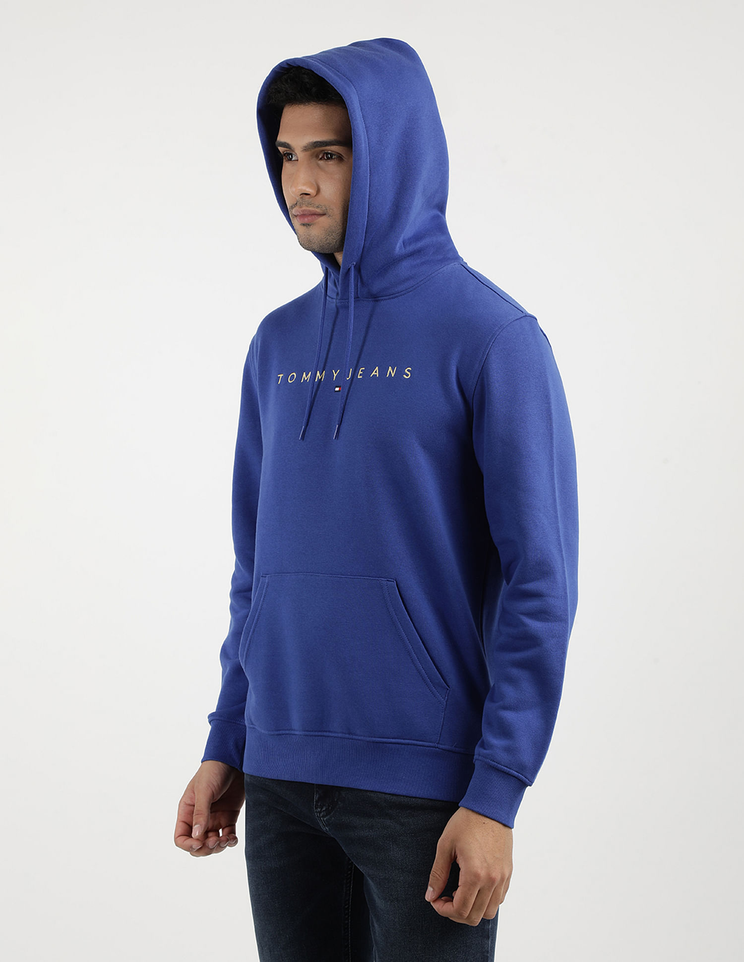 Tommy Hilfiger Regular Linear Gold Hood Sweatshirt