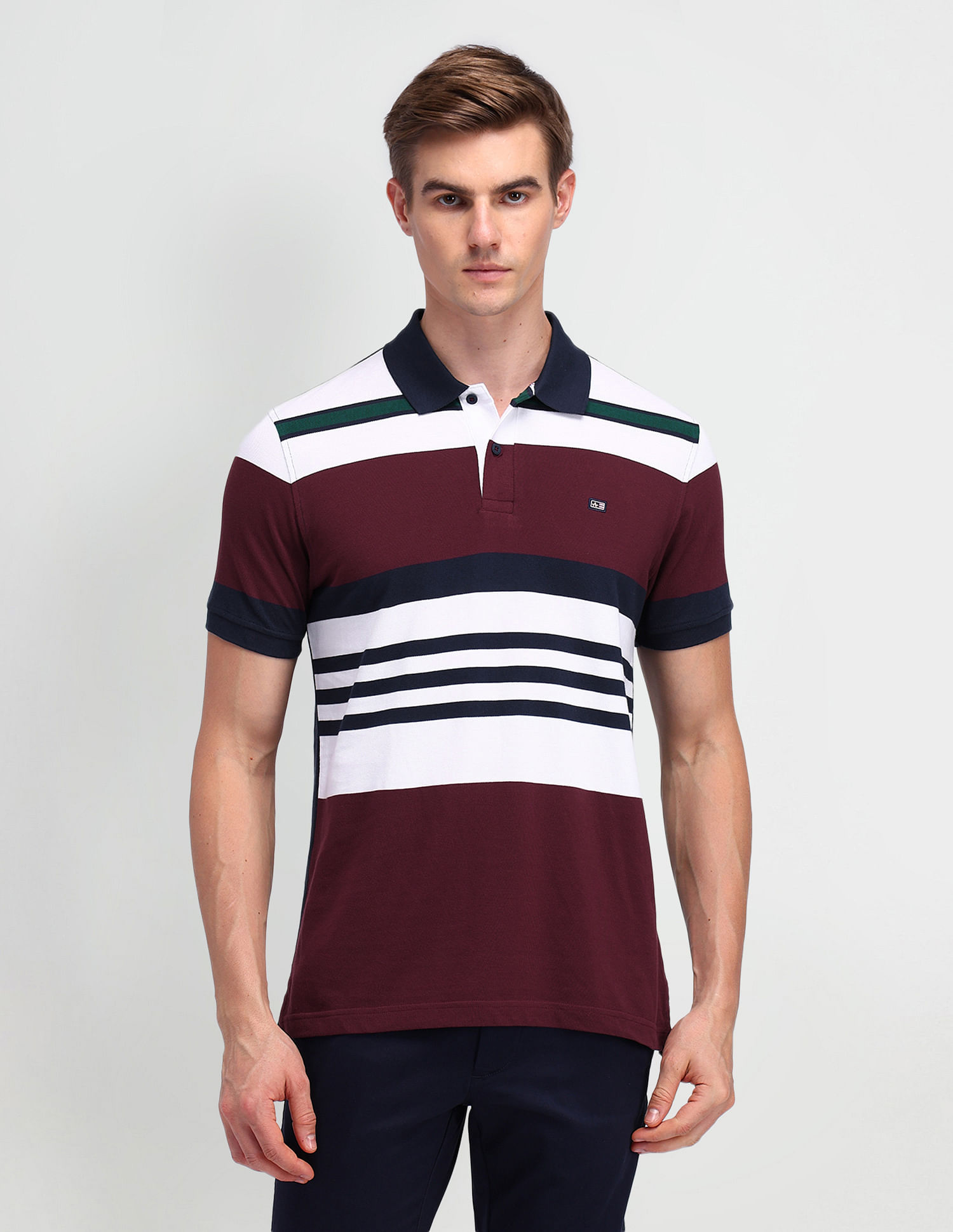 Arrow Sport Horizontal Striped Regular Polo Shirt