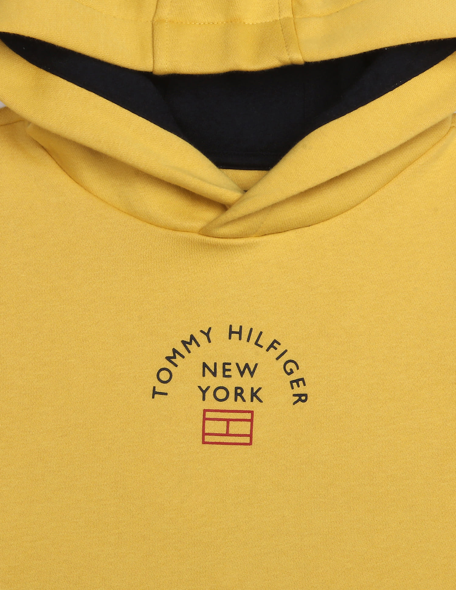 Best tommy hilfiger essential logo overhead hoodie junior Online