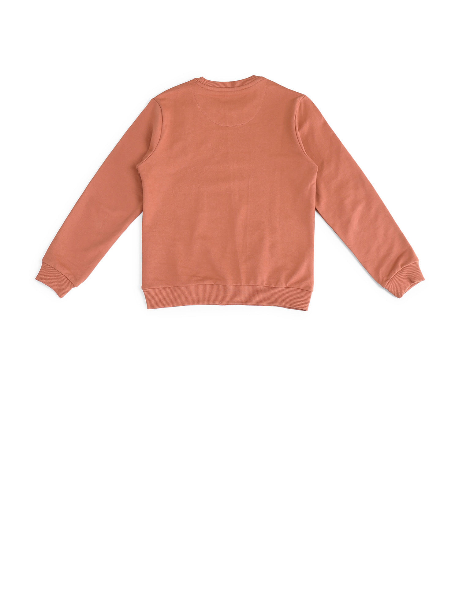 U.S. Polo Assn. Kids Brand Printed Regular Fit Sweatshirt