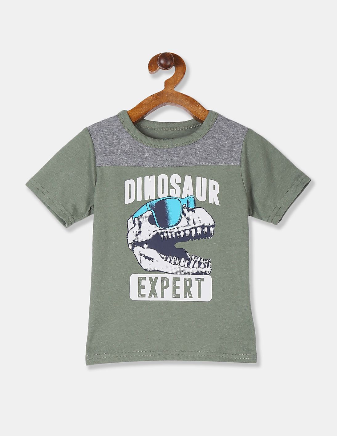 Buy The Children's Place Toddler Boy Green Cut And Sew Panel Graphic T