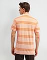Arrow Sport Horizontal Striped Regular Fit Polo Shirt