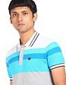 AD by Arvind Cotton Striped Polo Shirt