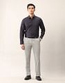 Arrow Textured Regular Fit Ceremonial Shirt