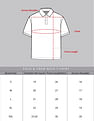 AD by Arvind Horizontal Stripe Cotton Pique Polo Shirt