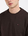 Tommy Hilfiger Solid Regular-Fit Cotton Sweater