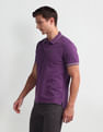 Arrow Sport Striped Collar Polo Shirt