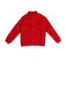 U.S. Polo Assn. Kids Boys Regular Fit Sweatshirt