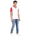 AD by Arvind Cotton Colour Block Polo Shirt