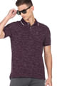 Arrow Sports Striped Collar Heathered Cotton Polo Shirt