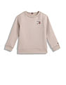 Tommy Hilfiger Kids Boys Flag Graphic Sweatshirt