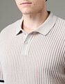 Arrow Newyork Textured Regular Fit Night Is Young Polo Shirt