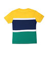 U.S. Polo Assn. Kids Boys Multi Colour Cotton Colour Block T-Shirt
