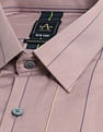 Arrow Newyork Vertical Striped Dobby Shirt