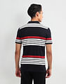 Arrow Sport Horizontal Stripe Regular Fit Polo Shirt