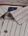 Arrow Vertical Striped Liberty Classic Fit Shirt